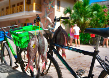 Nach dem Marktbesuch auf La Digue 