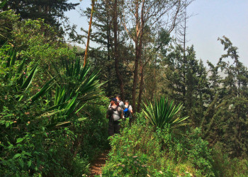 Wanderung durch die Serra Malagueta 