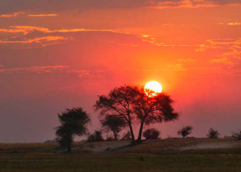 Sonnenuntergang im Chobe