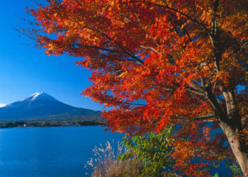 Blick zum Fuji zur Herbstlaubfärbung 