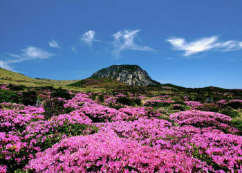 Mount Hallasan auf Jeju 
