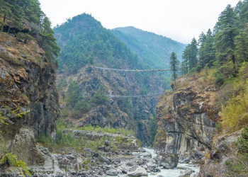 Aussicht auf die Hillary Hängebrücke 