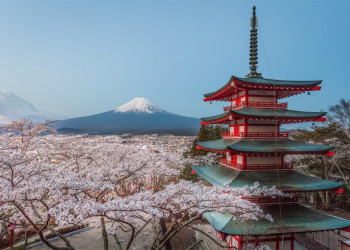 Fuji und Pagode während der Kirschblüte