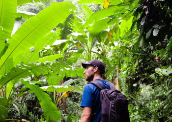 Wanderung im Cuc Phuong