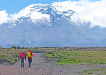 Wanderer vor dem Chimborazo 