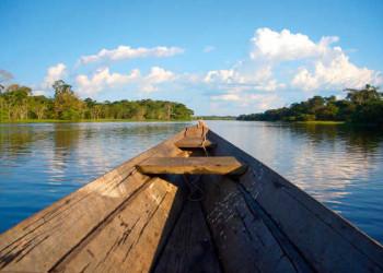 Im Amazonas bei Manaus 