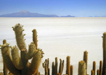 Blick von der Kakteeninsel Incahuasi auf den Vulkan Thunupa 