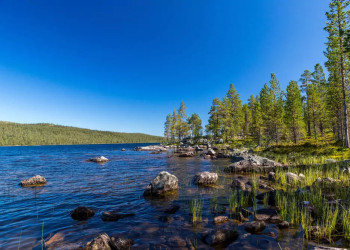Unterwegs im Femundsmarka Nationalpark 