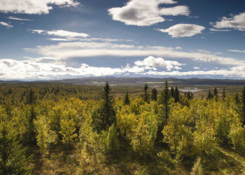 Landschaft rund um Gålå 