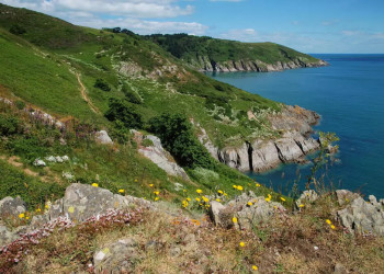 Küstenpfad bei Kingswear 