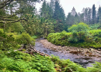 Wild Nephin National Park 