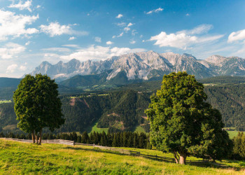 Blick auf das Dachsteinmassiv 