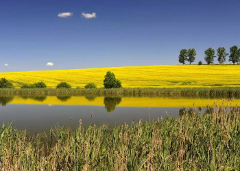 Masurische Landschaft 