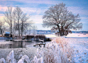 Winterliche Impressionen 