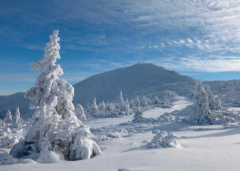 Schneekoppe 