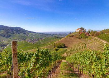 Aussicht auf Schloss Staufenberg 