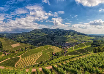 Panoramablick auf Durbach 