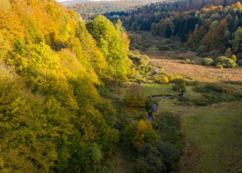Hafenlohrtal im Spessart 