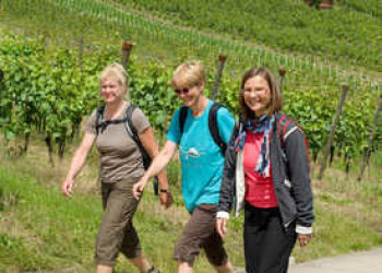 Rotweinwanderweg Ahrweiler