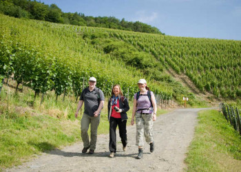 Rotweinwanderweg Ahrweiler