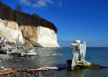 Kreideküste im Winter 