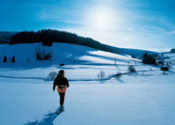 Schneeschuhwanderung 