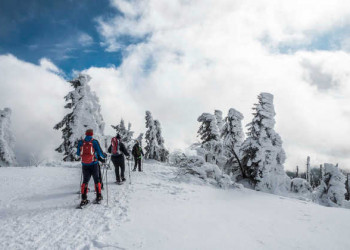 Auf dem Gipfel des Lusen 