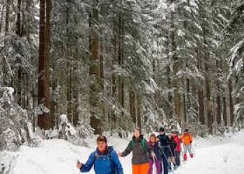 Schneeschuhwandern im verschneiten Wald 