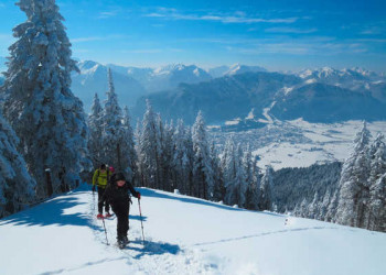 Schneeschuhwandern in den Alpen 