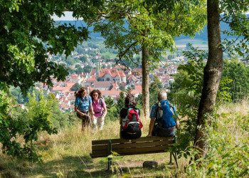 Wanderer oberhalb von Beilngries 