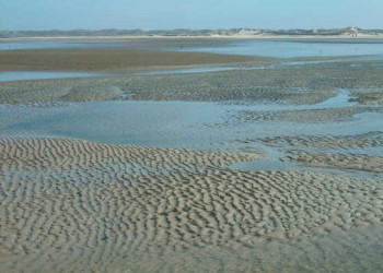 Lagunensee De Slufter 