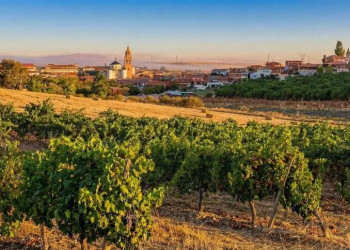 Im Weinanbaugebiet Rueda 