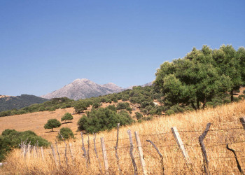 Sierra Grazalema 
