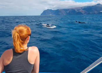 Whale Watching vor La Gomera 