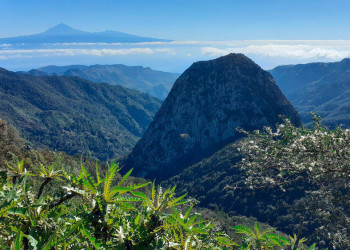 Im zentralen Bergland La Gomeras 