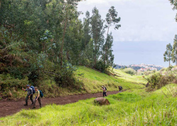 Wege auf Madeira 