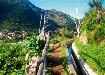 Levada auf Madeira 