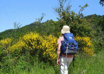 Schöne Naturlandschaft in der Emilia
