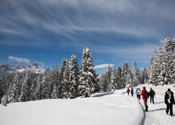 Winterwandern in den Alpen 