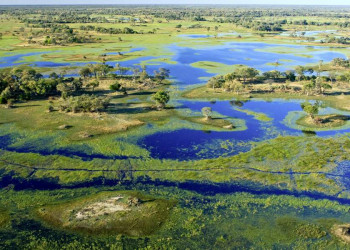 Das Okavangodelta aus der Luft
