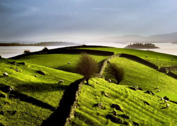 Typische Schafweide an der Atlantikküste in Irland