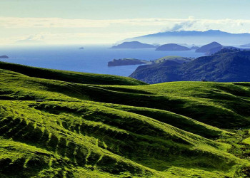 Die Coromandel-Halbinsel auf der Nordinsel Neuseelands