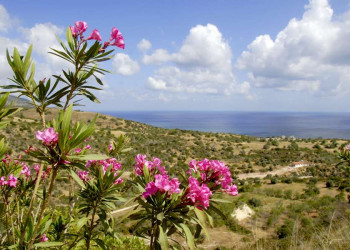 Die sanfte Berglandschaft der Akamas-Halbinsel auf Zypern
