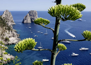 Weiße Boote, blaues Meer und die Faraglioni vor Capri