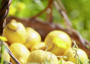 Sizilien ist die Seele des Landes, wo die Zitronen blühn