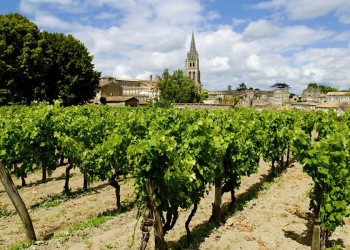 Blick über die Weinberge nach St-Emilion in Südwestfrankreich