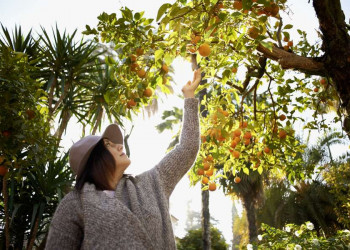 Erfrischende Pause bei den Orangenbäumen in Andalusien