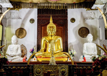 Goldener Buddha im Zahntempel von Kandy in Sri Lanka