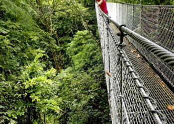 Hängebrücken im Nebelwald in Monteverde