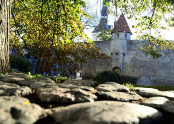 Die Stadtmauer von Tallinn, Estland